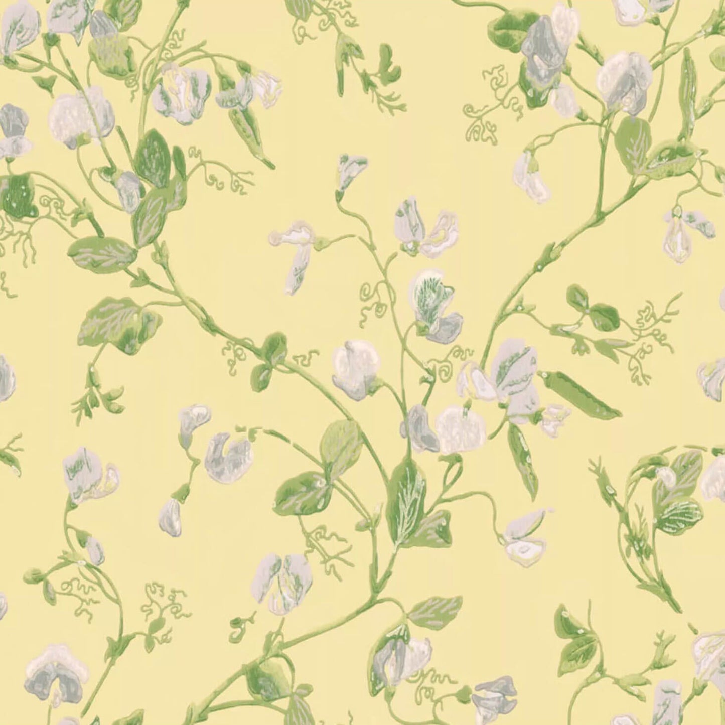 Cole & Son Sweet Pea Wallpaper - Yellow