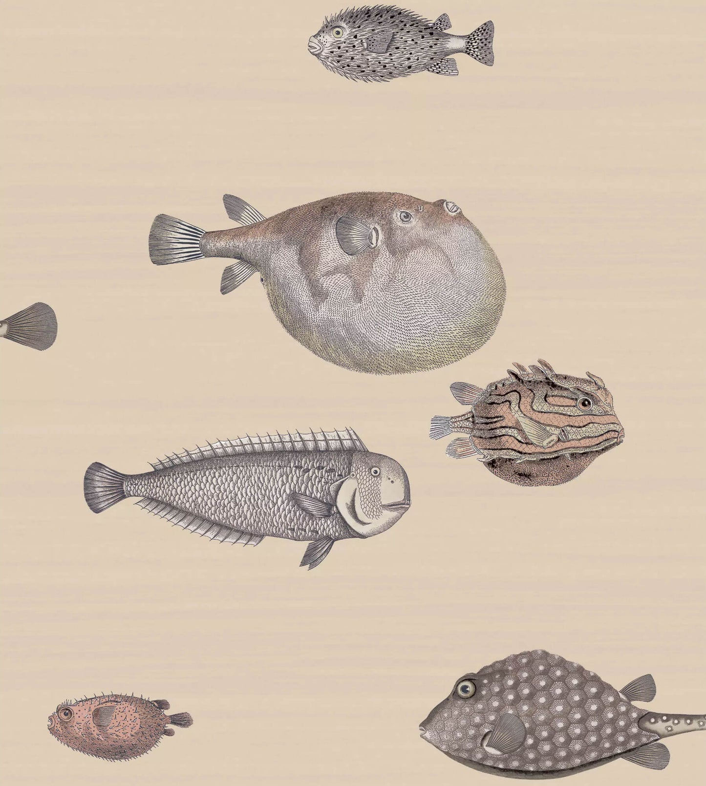 Cole & Son Acquario Wallpaper - Taupe