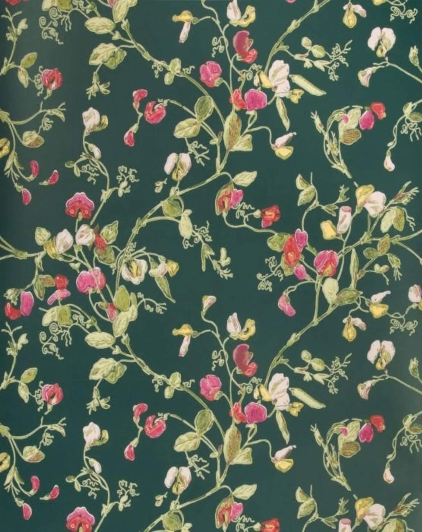 Cole & Son Sweet Pea Wallpaper - SAMPLE