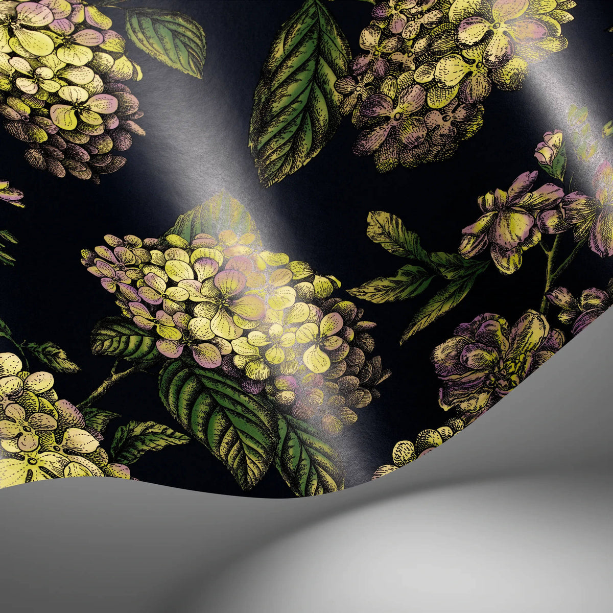 Cole & Son Fornasetti Senza Tempo II Ramo Di Ortensia Wallpaper Sample - Ink