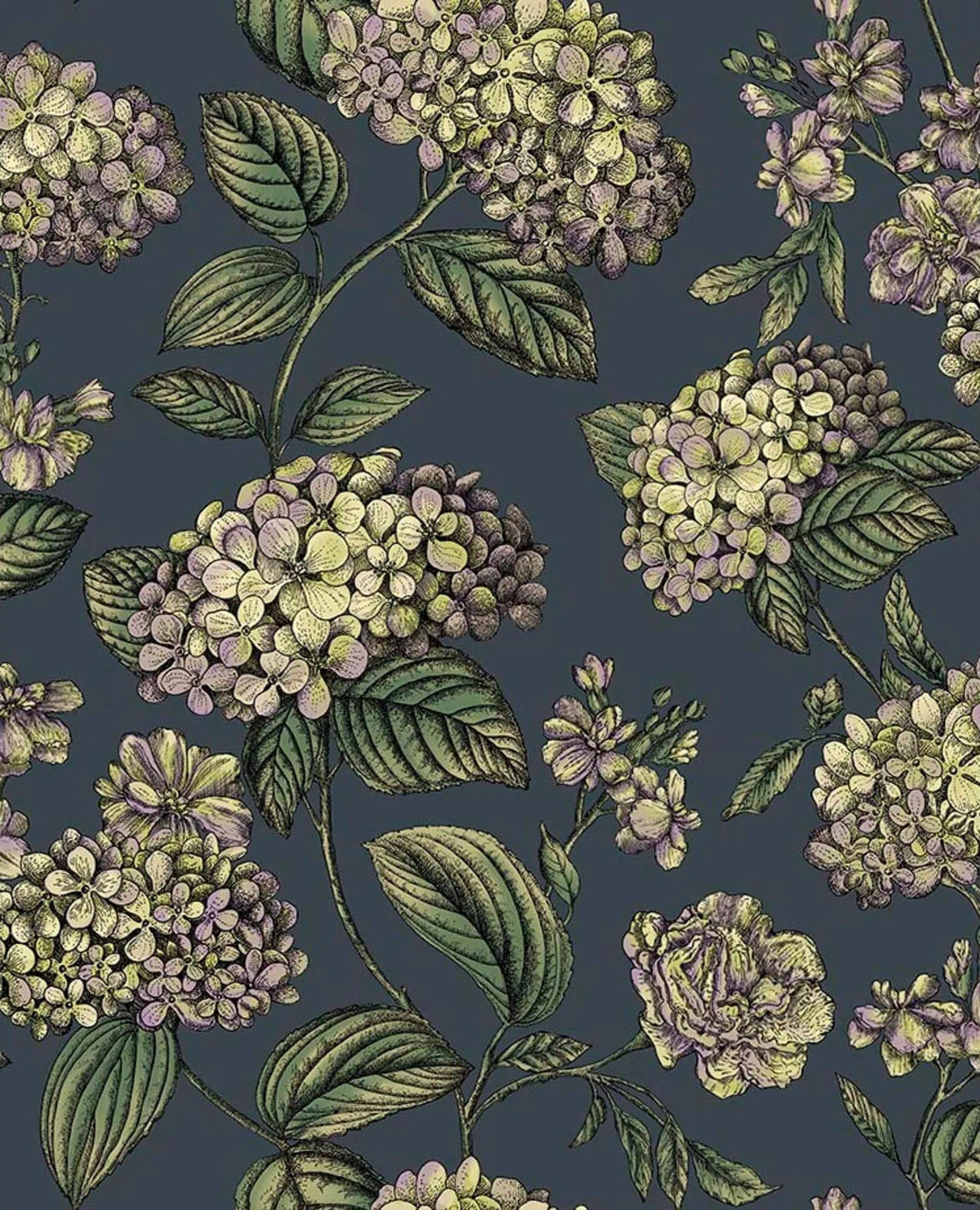 Cole & Son Fornasetti Senza Tempo II Ramo Di Ortensia Wallpaper Sample - Ink