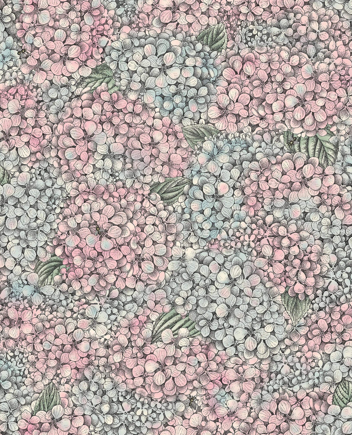 Cole & Son Fornasetti Senza Tempo II Ortensia Wallpaper Sample - Pink & Blue