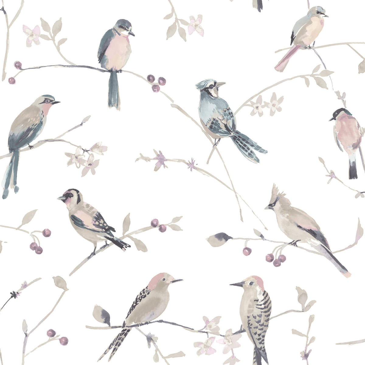 Chesapeake Thoreau Birdsong Wallpaper Sample - Mauve