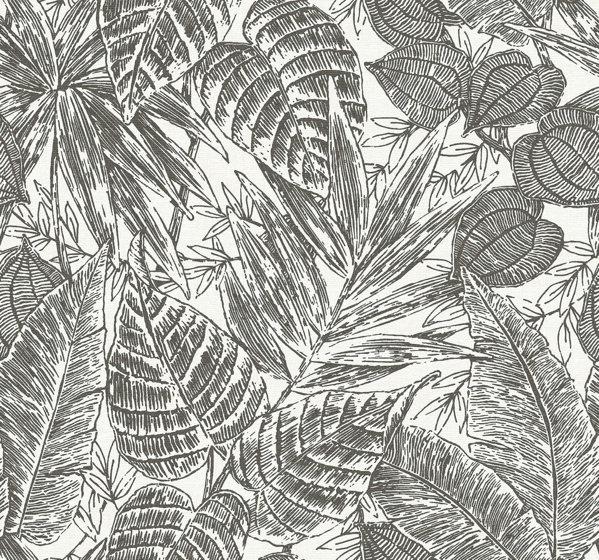Scott Living Brentwood Wallpaper - Black