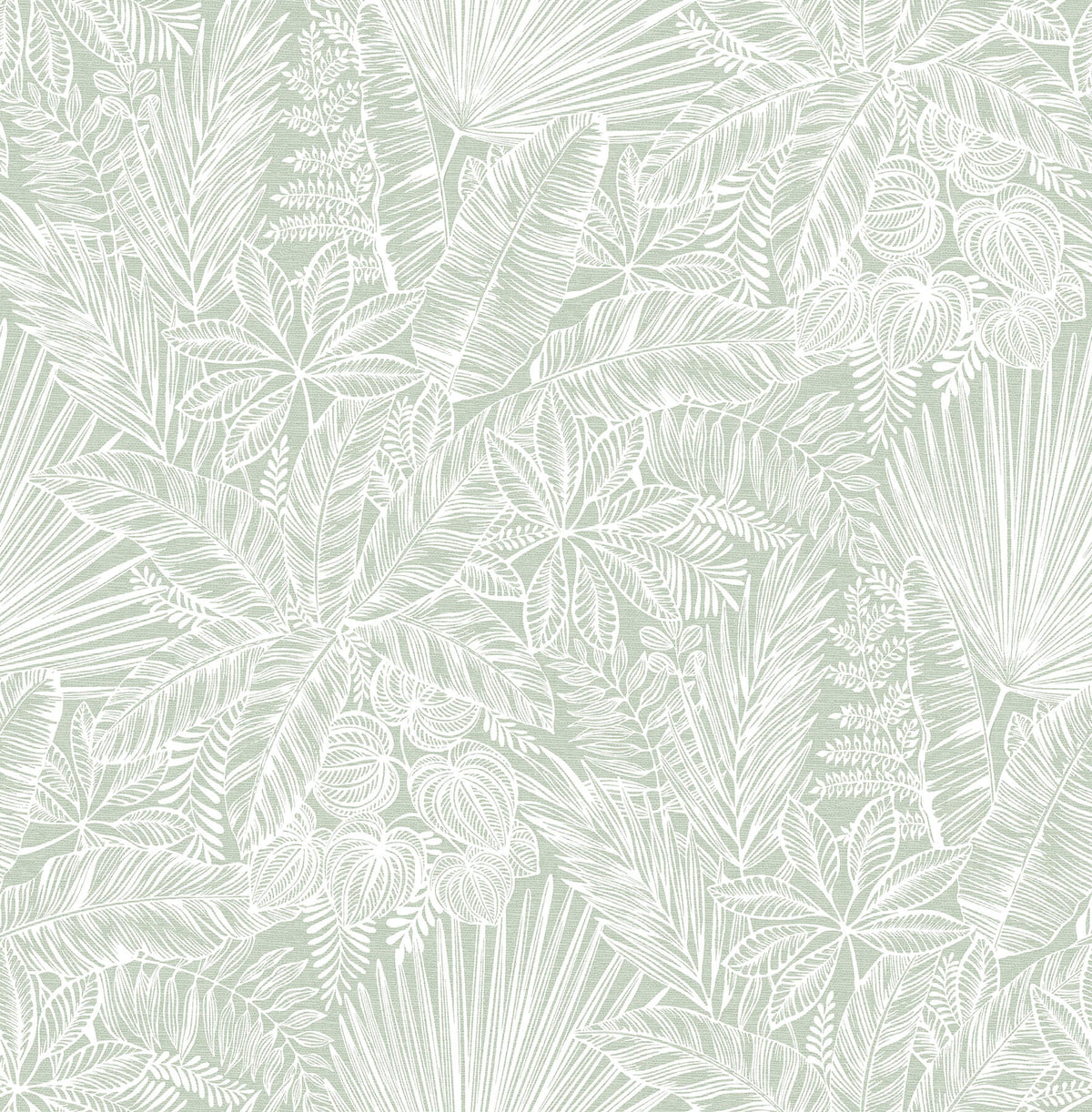 A-Street Prints Middleton Vita Wallpaper - Sage