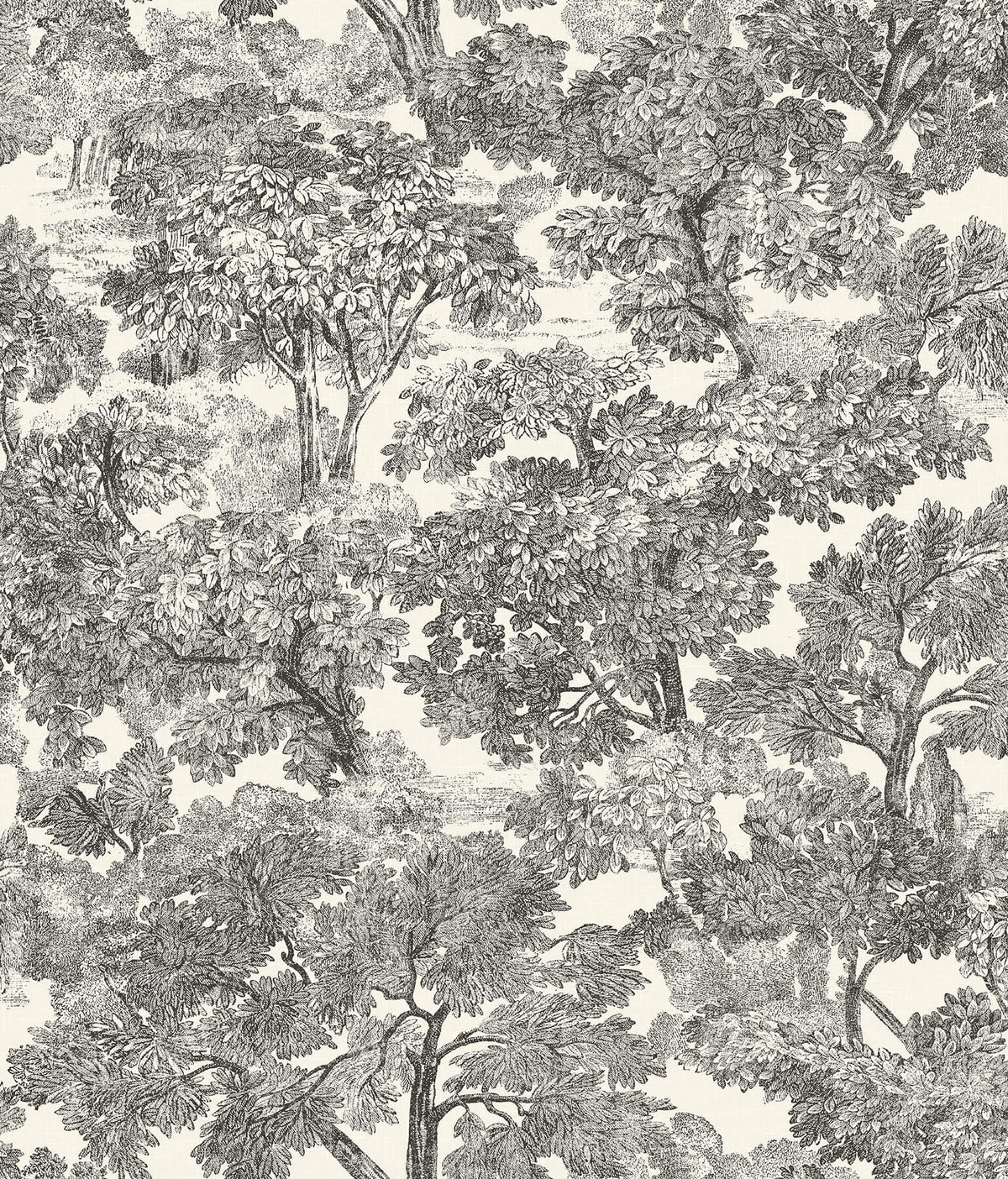 Chesapeake Wildflower Spinney Toile Wallpaper - Black