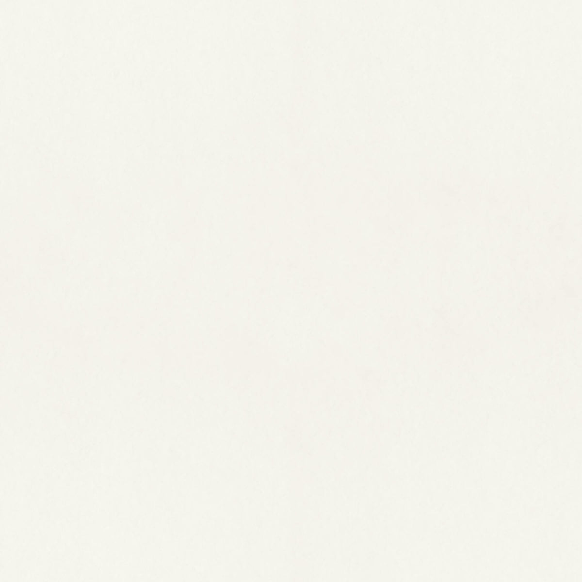 A-Street Prints Hidden Treasures Parget Snovit Wallpaper - White