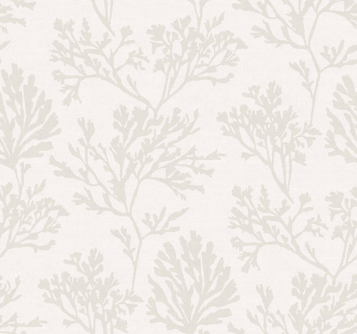 A-Street Prints Sea Salt Tortuga Wallpaper - Dove