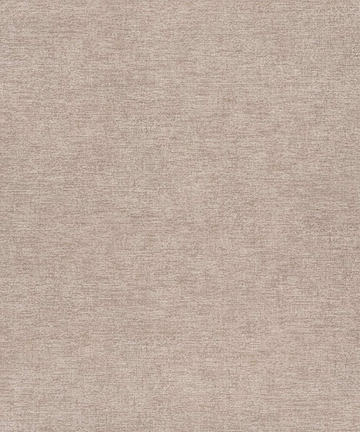 Chesapeake Kitchen & Bath Tansy Wallpaper Sample - Dark Grey