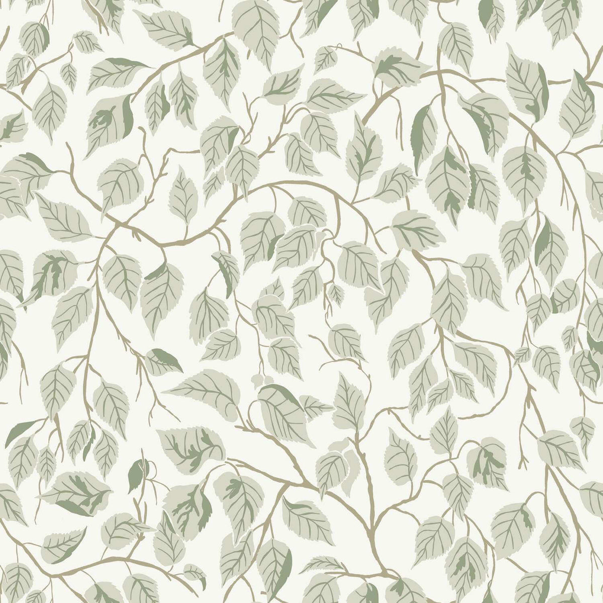 A-Street Prints Savanna Hangbjork Vine Wallpaper Sample - Sage