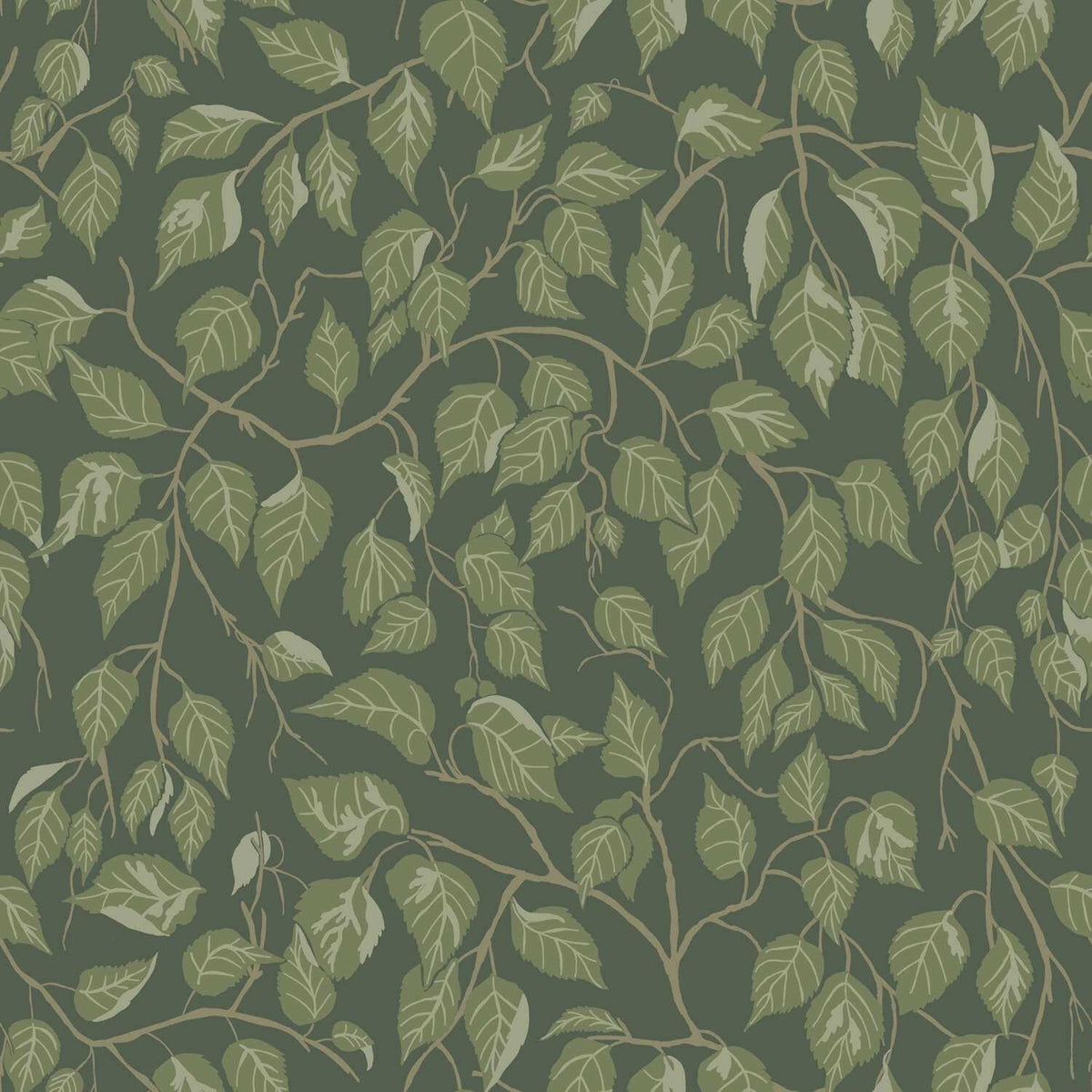 A-Street Prints Savanna Hangbjork Vine Wallpaper - Evergreen