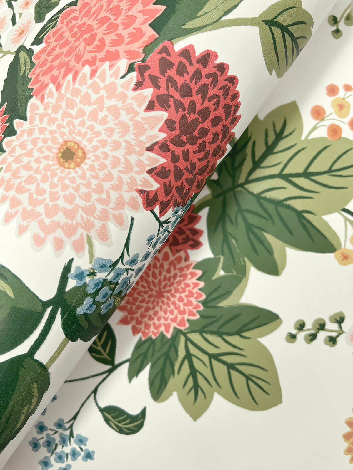 Rifle Paper Co. Dahlia Wallpaper Sample - Cream