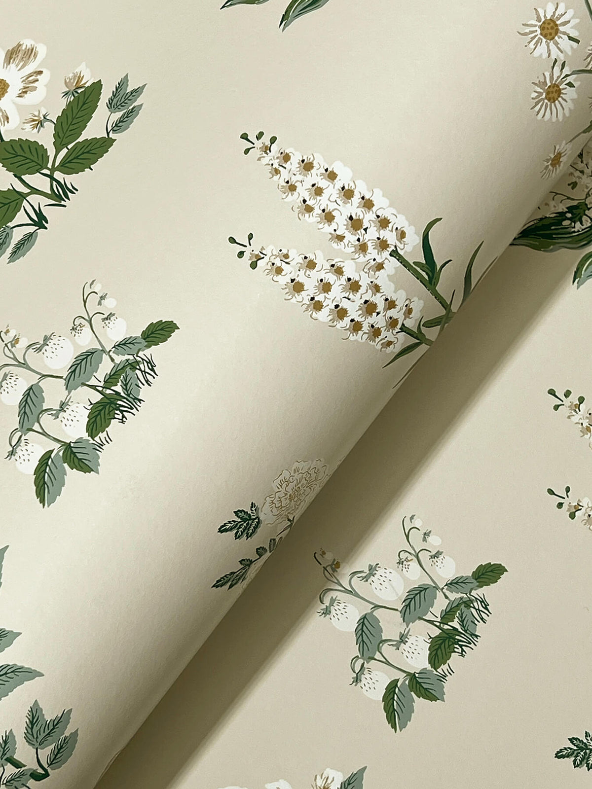 Rifle Paper Co. Botanical Wallpaper Sample - Cream