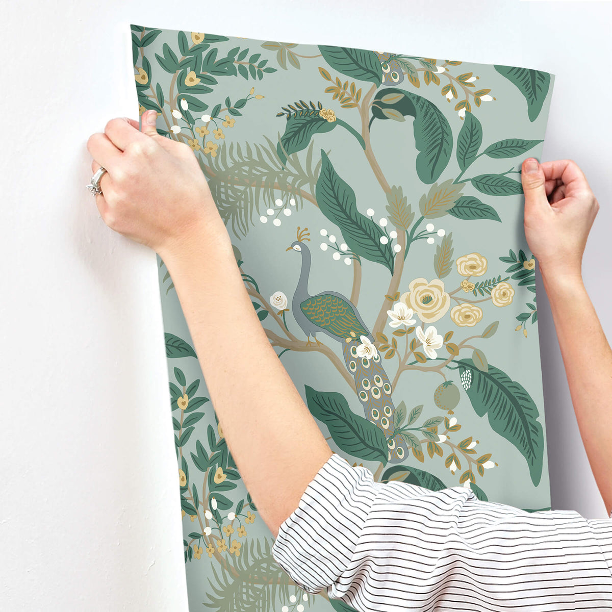 Rifle Paper Co. Peacock Wallpaper Sample - Slate