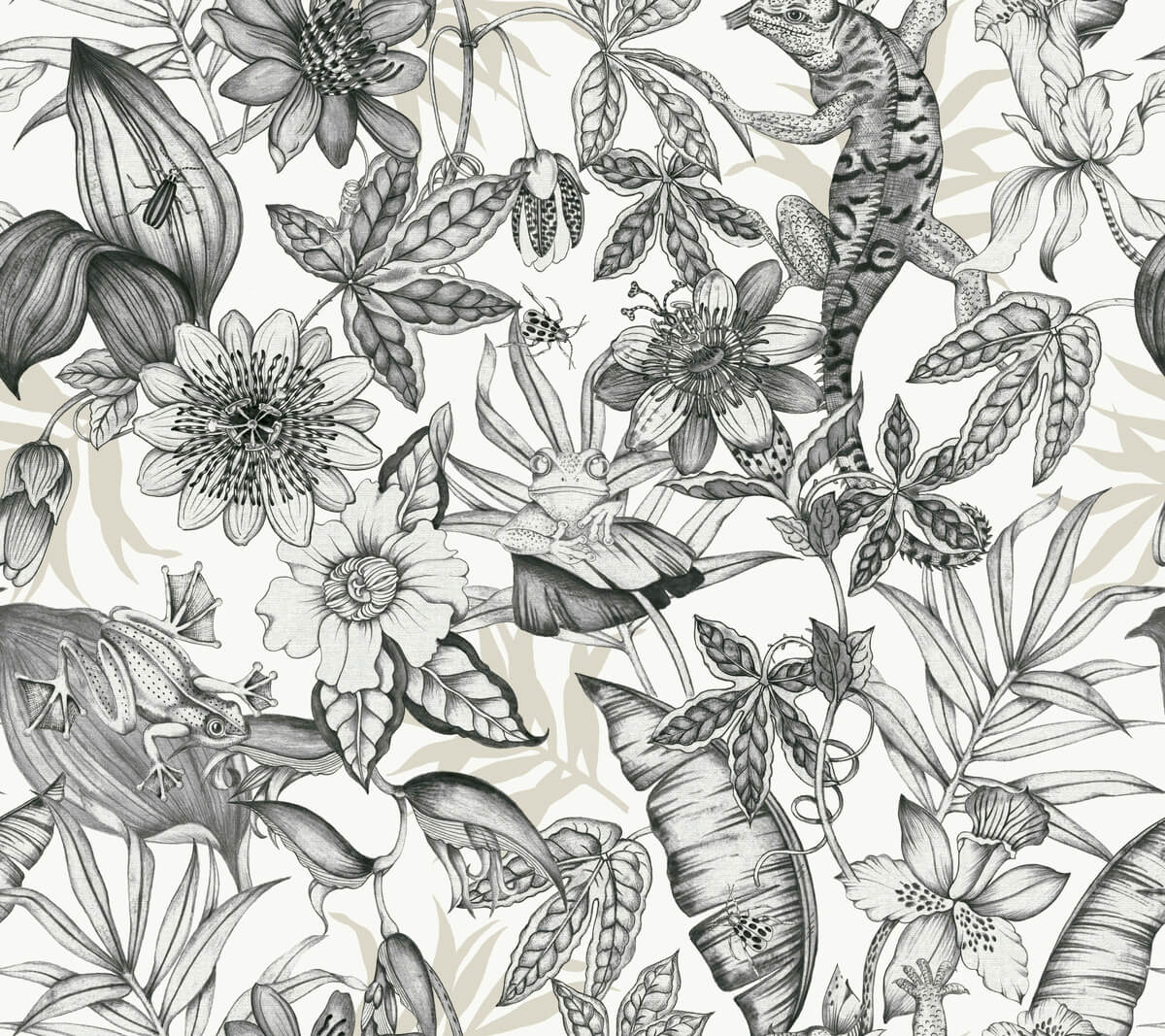 York Blooms Second Edition Rainforest Wallpaper Sample - Charcoal