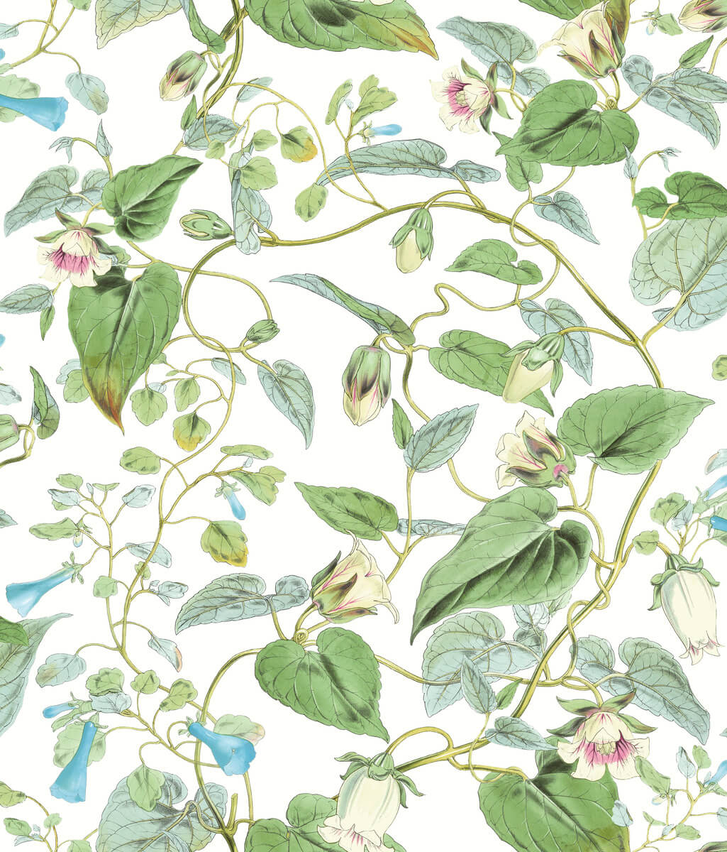 York Blooms Second Edition Moon Flower Wallpaper - Green