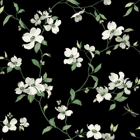 Blooms Second Edition Dogwood Wallpaper - Black
