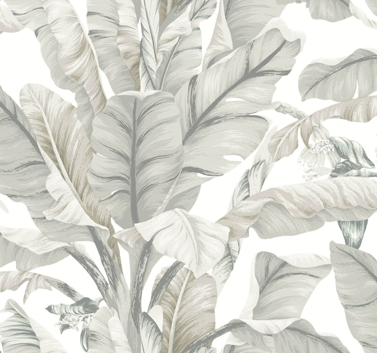 York Black & White Resource Library Banana Leaf Wallpaper - White & Cream