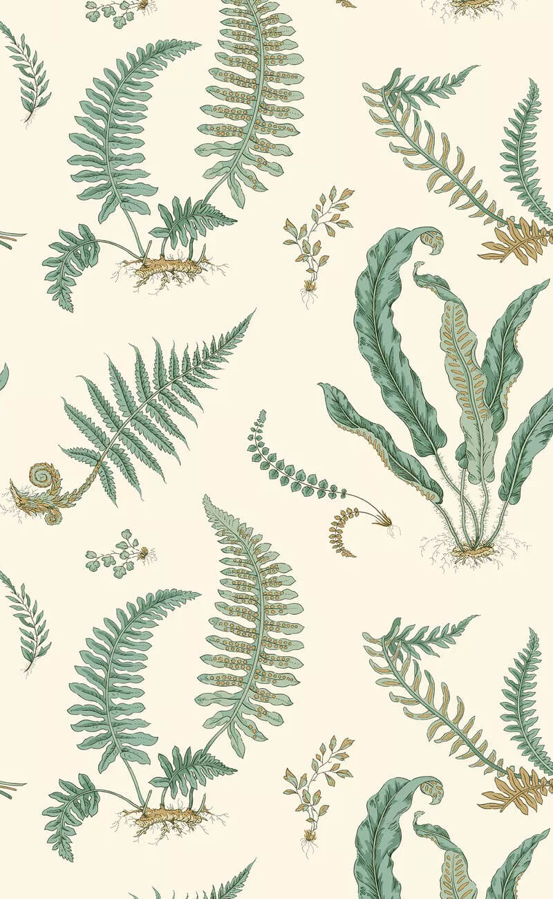 G P & J Baker Ferns Wallpaper - Verdigris