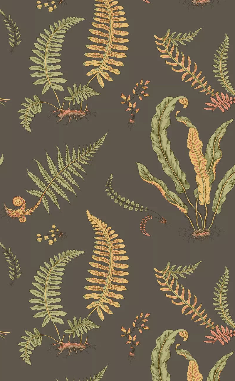 G P & J Baker Ferns Wallpaper - Charcoal