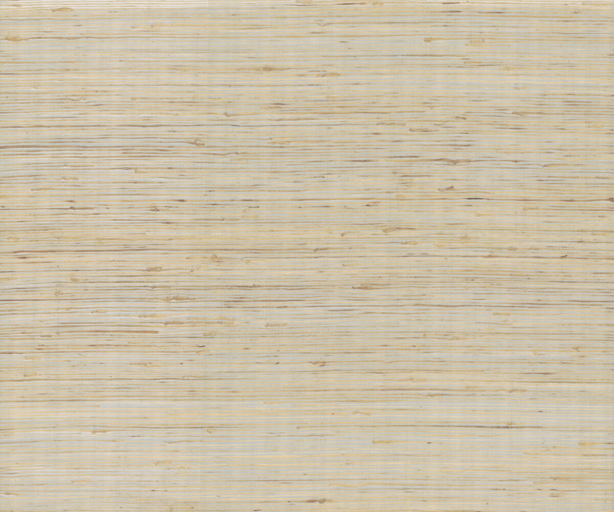 Candice Olson Modern Nature Metallic Jute Wallpaper - Beige & Silver