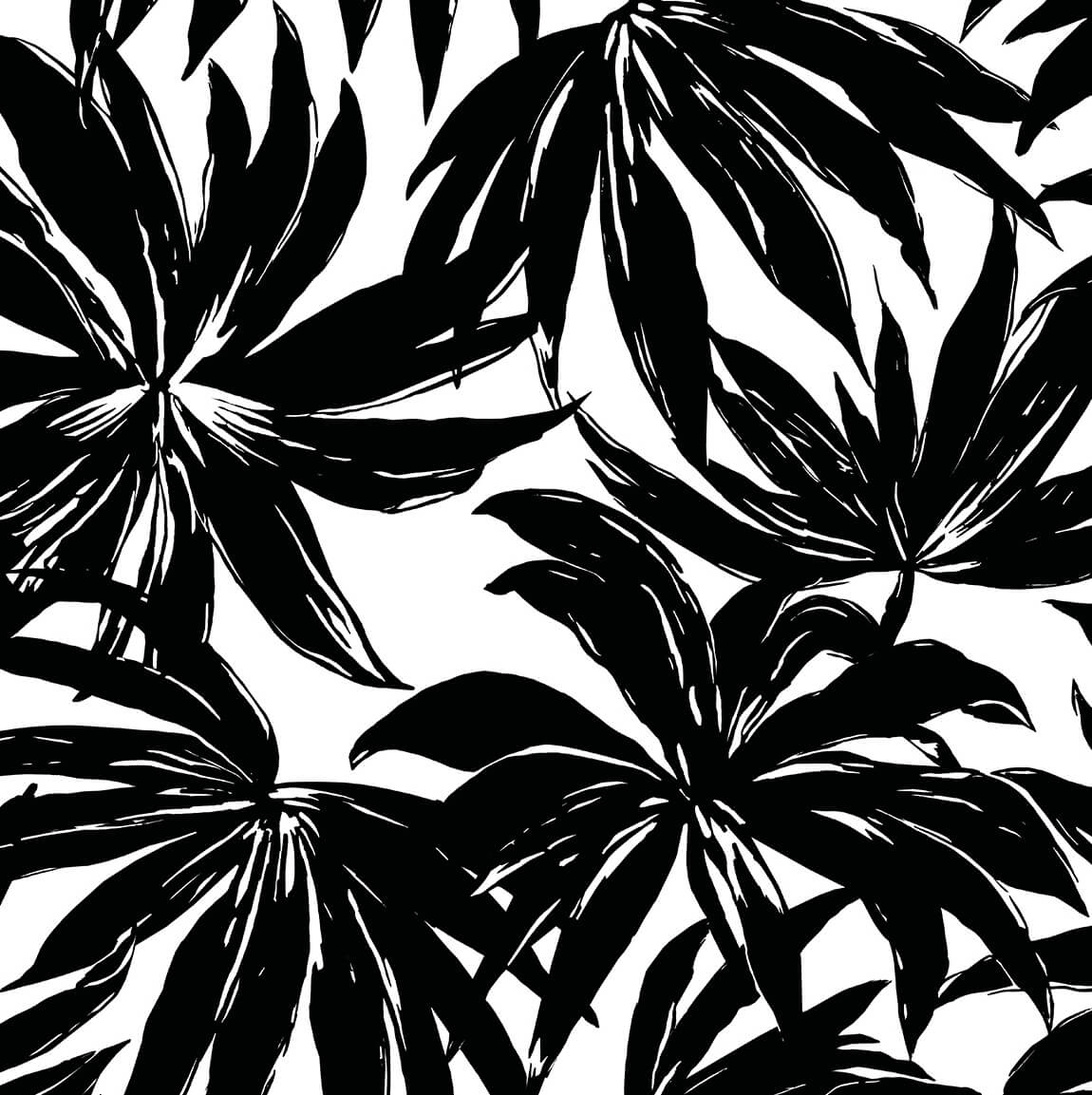 Daisy Bennett West Boulevard Collection Palma Wallpaper Sample - Black