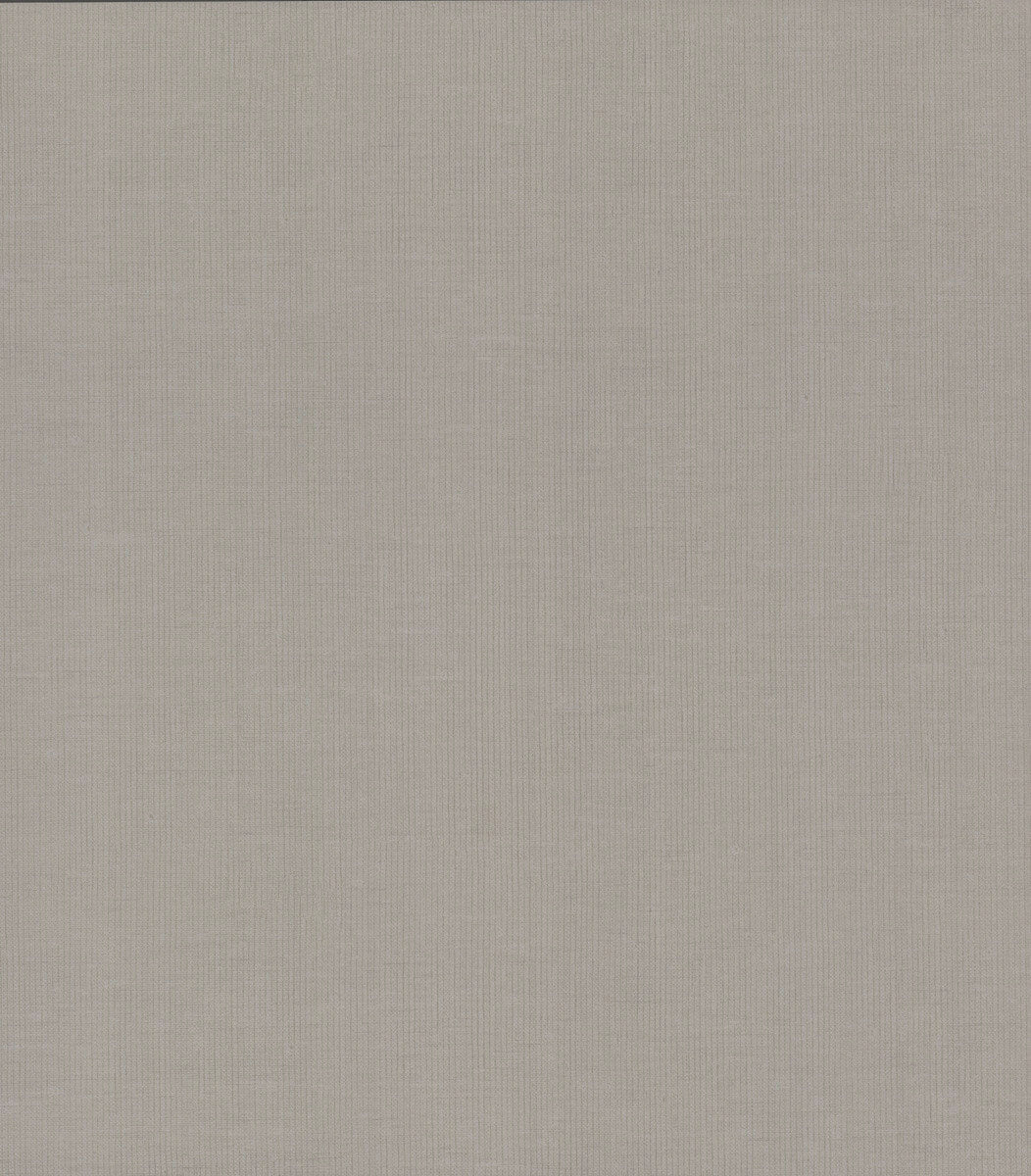 Antonina Vella Dazzling Dimensions Gossamer Woven Wallpaper - Silver Gray