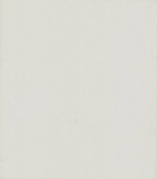 Antonina Vella Dazzling Dimensions Etched Chevron Wallpaper - White