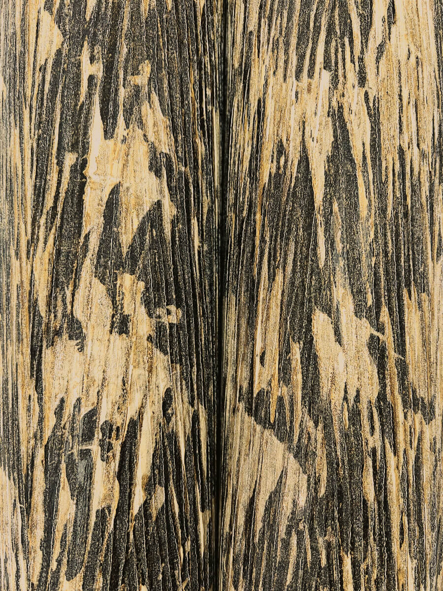 York Formations Gilded Plume Wallpaper Sample - Black