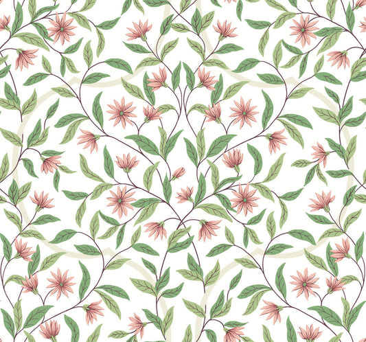 Greenhouse Jasmine Wallpaper - Coral