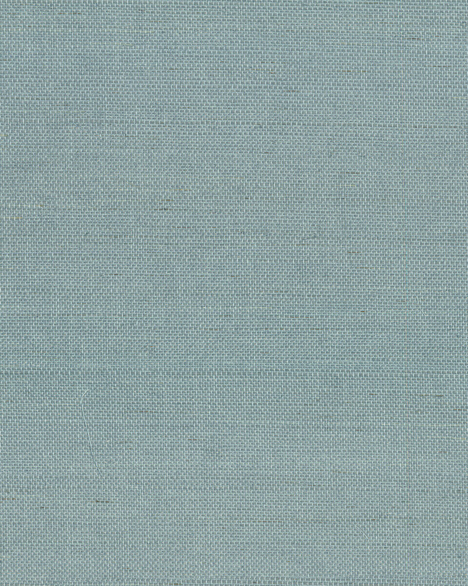 York Designer Sisals Grasscloth Wallpaper Sample - Dragonfly