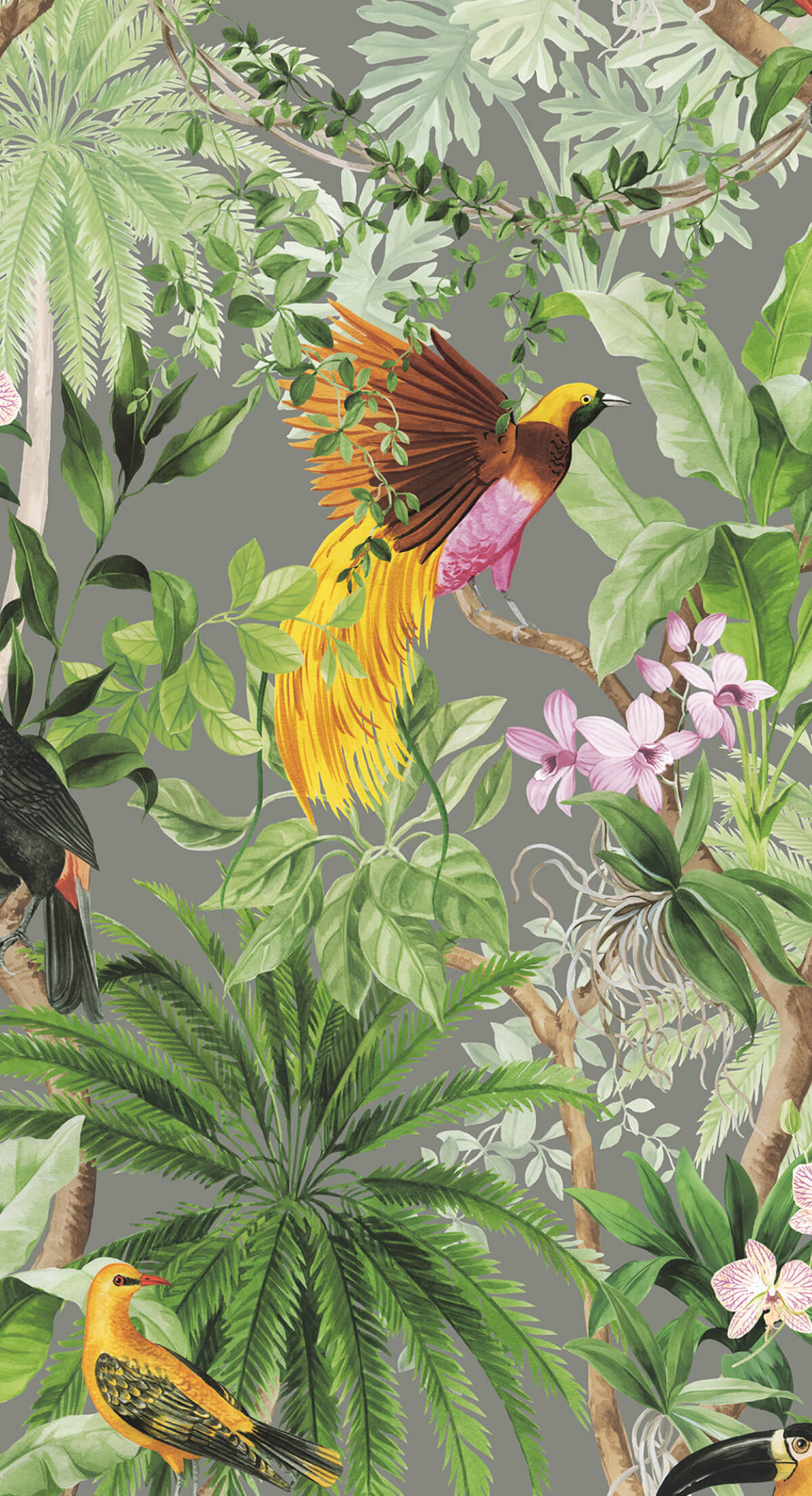 NextWall Harry & Grace Peel & Stick Wallpaper - SAMPLE