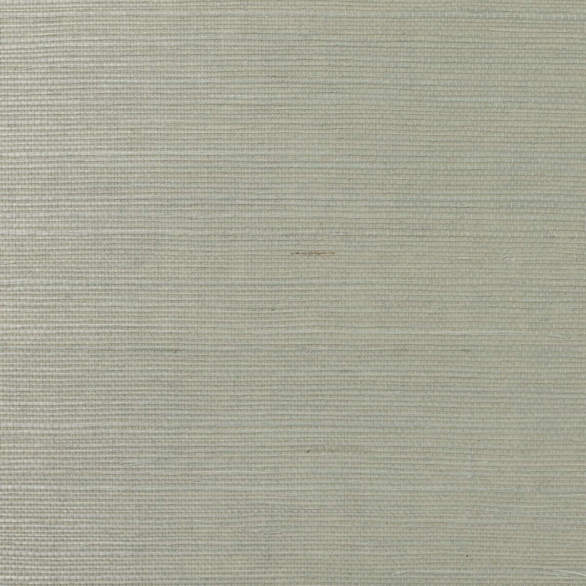 Lillian August Natural Textured Wallcoverings Grasscloth Sample - Green Lacewing