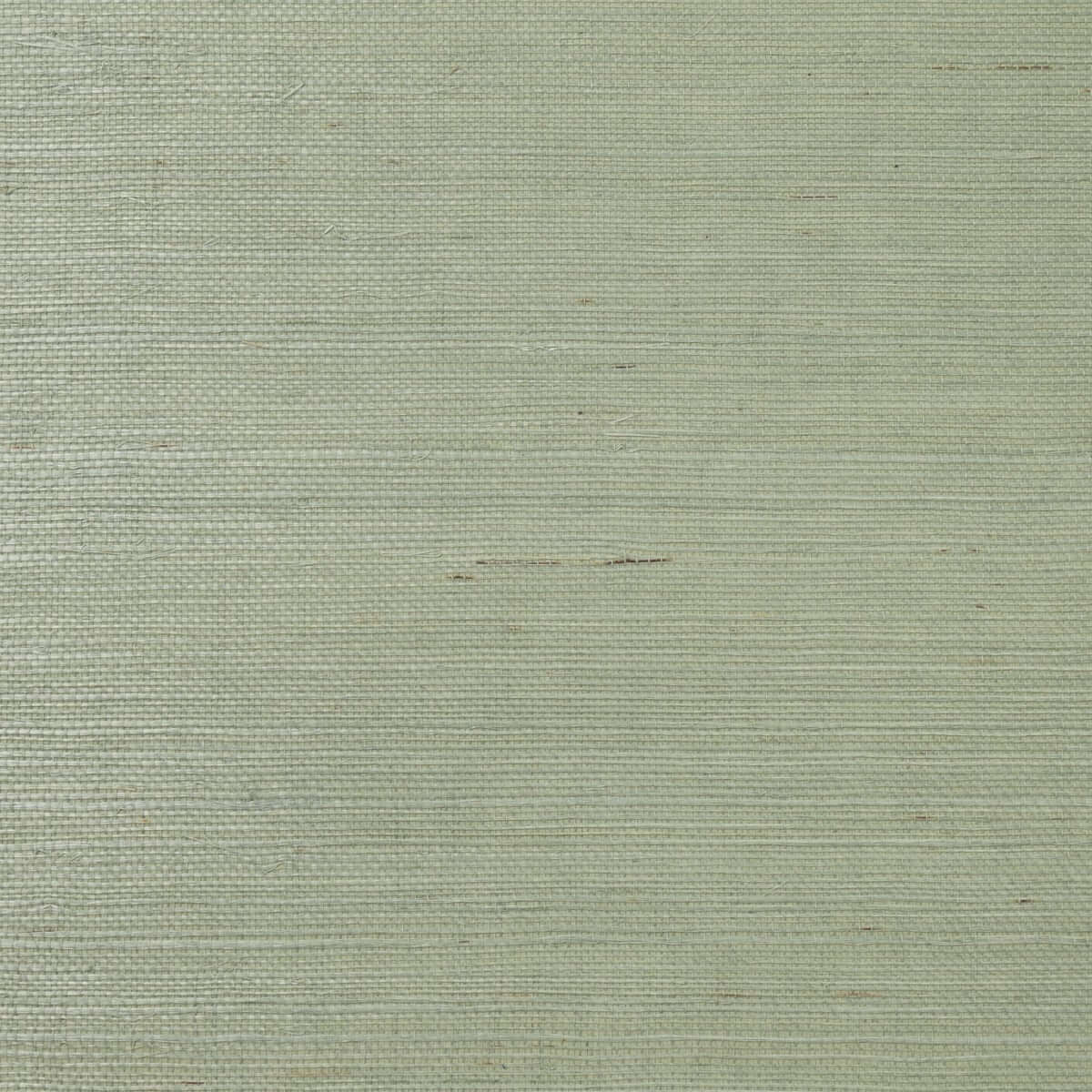 Lillian August Natural Textured Wallcoverings Grasscloth - Tender Green