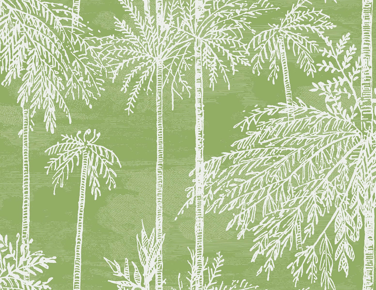 Lillian August Coastal Haven Palm Grove Wallpaper Sample - Summer Fern