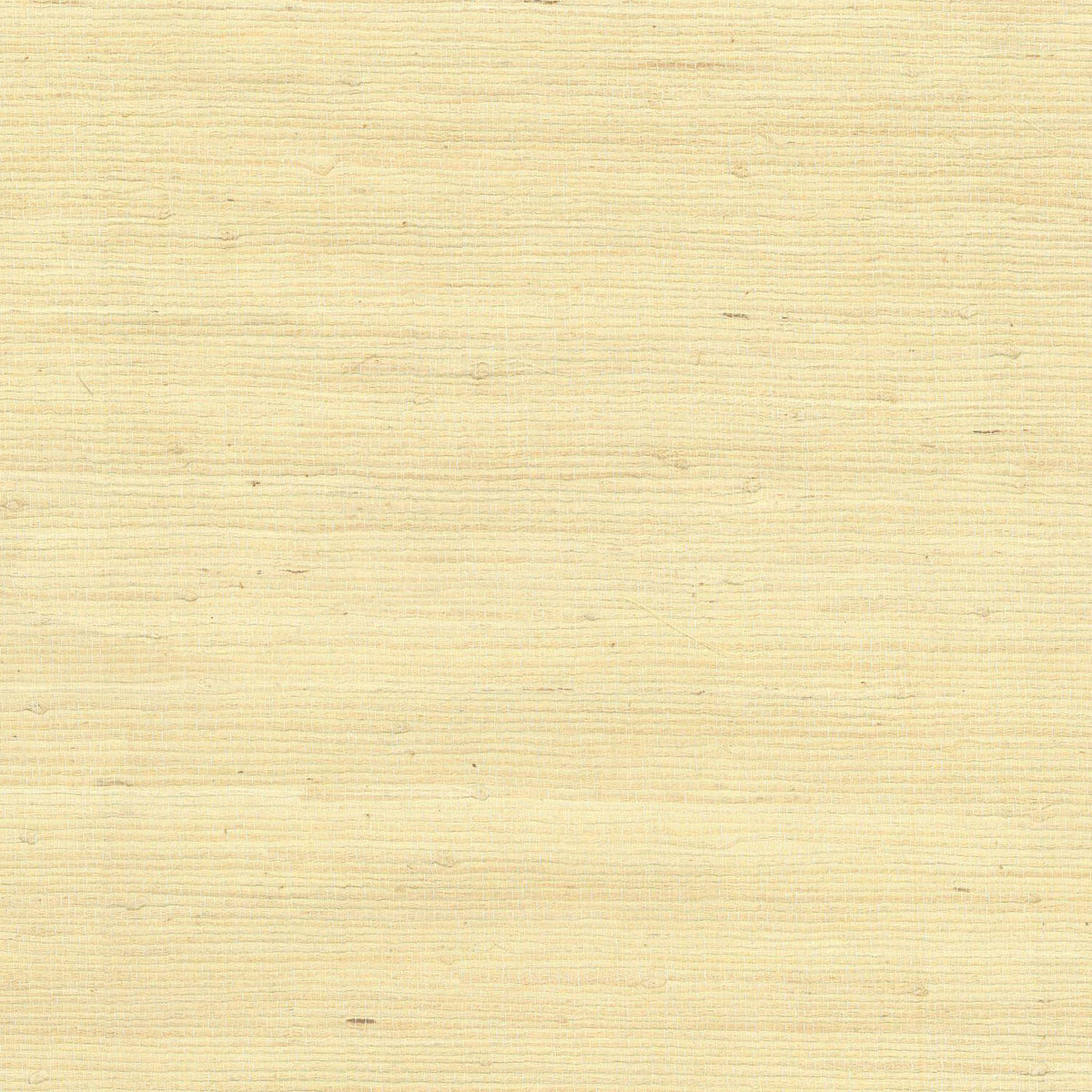 York Grasscloth Resource Library Jute Wallpaper Sample - Cream