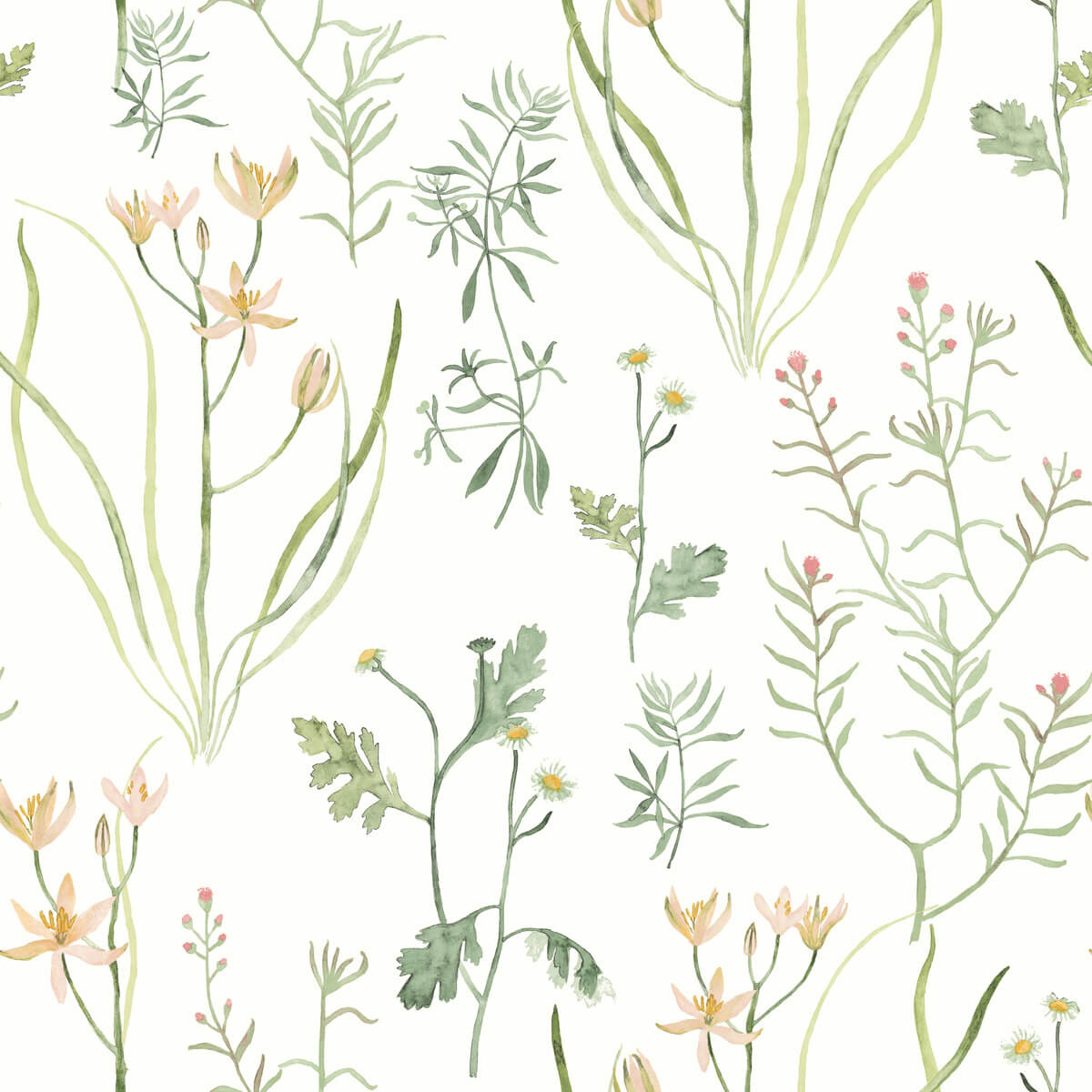 York Watercolor Botanicals Alpine Botanical Peel & Stick Wallpaper Sample - Peach