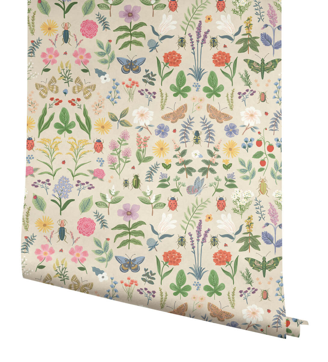 Rifle Paper Co. Curio Peel & Stick Wallpaper Sample - Cream