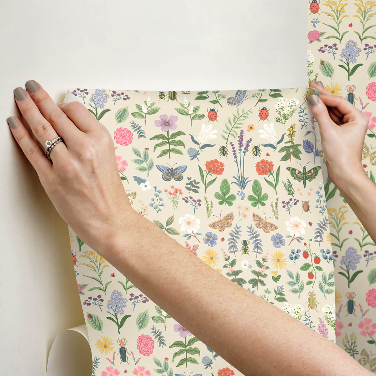 Rifle Paper Co. Curio Peel & Stick Wallpaper Sample - Cream