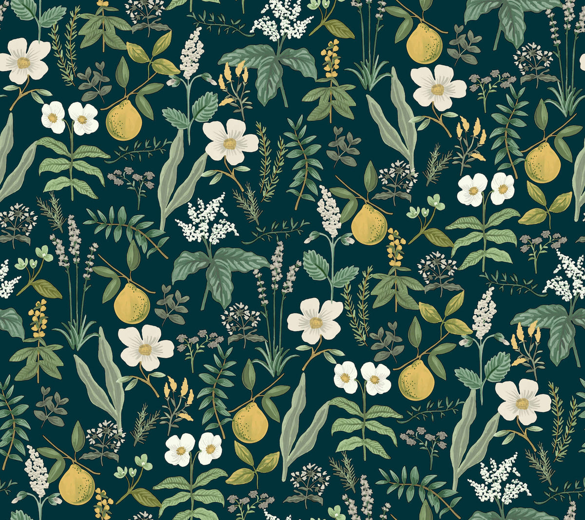 Rifle Paper Co. Herb Garden Peel & Stick Wallpaper Sample - Navy