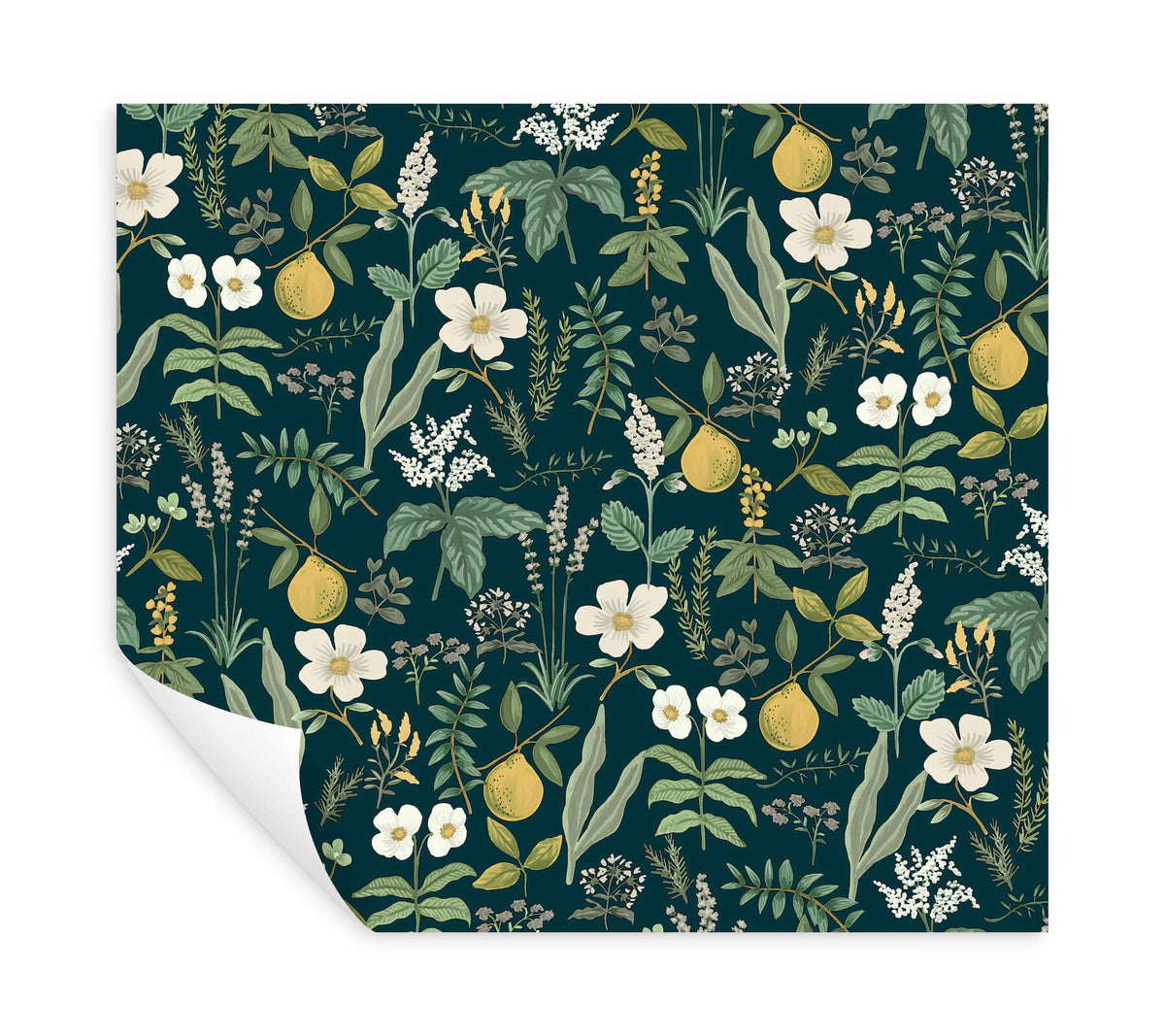 Rifle Paper Co. Herb Garden Peel & Stick Wallpaper Sample - Navy