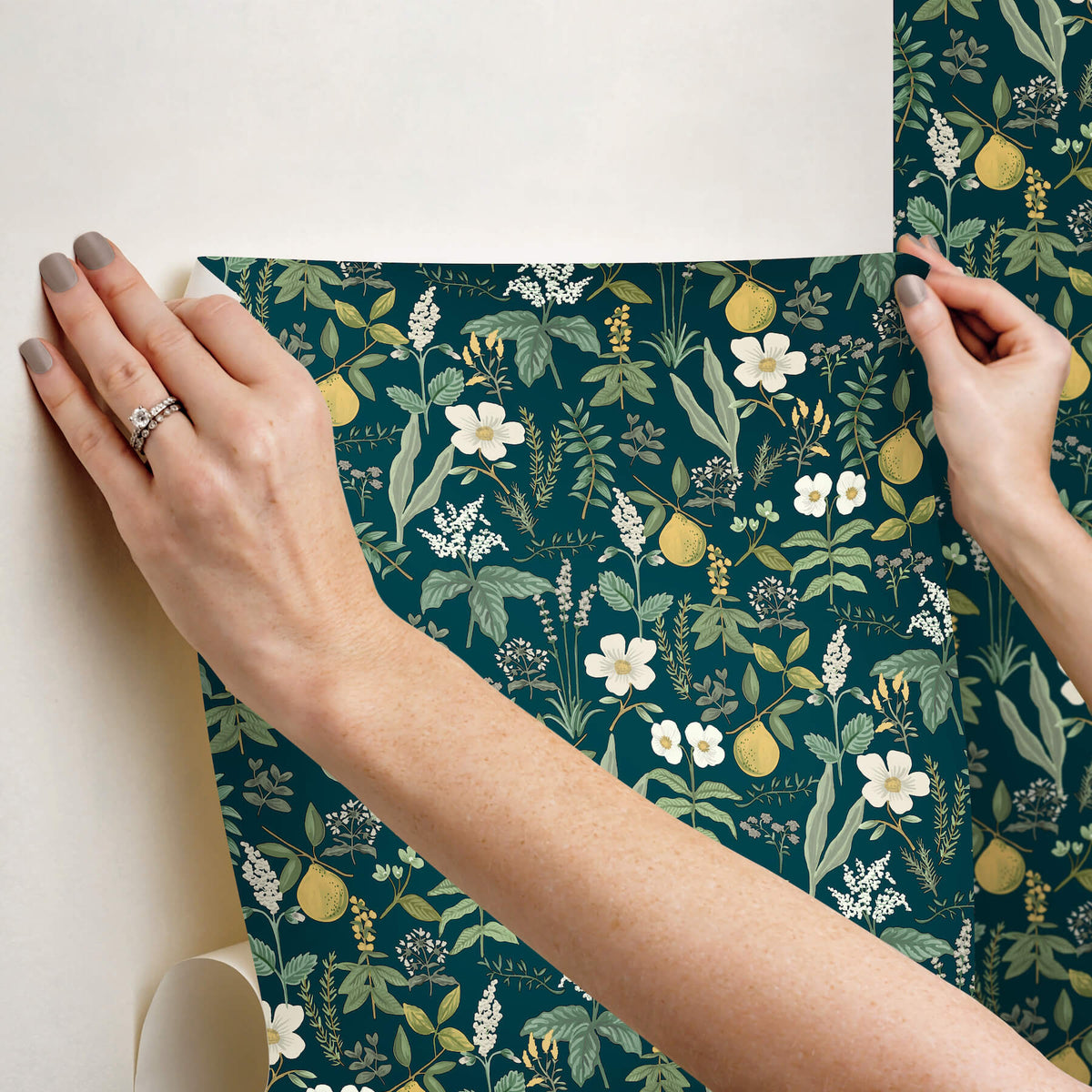 Rifle Paper Co. Herb Garden Peel & Stick Wallpaper Sample - Navy