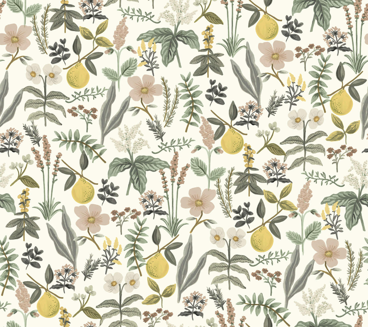 Rifle Paper Co. Herb Garden Peel & Stick Wallpaper Sample - Cream