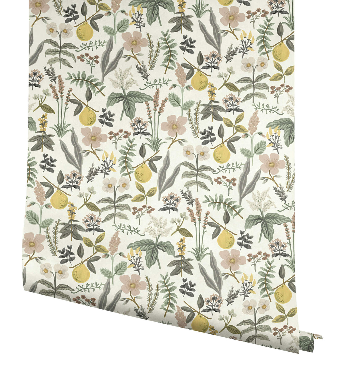 Rifle Paper Co. Herb Garden Peel & Stick Wallpaper Sample - Cream