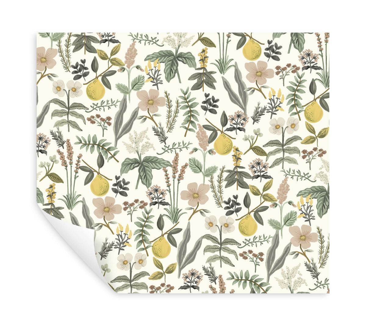 Rifle Paper Co. Herb Garden Peel & Stick Wallpaper Sample - Cream