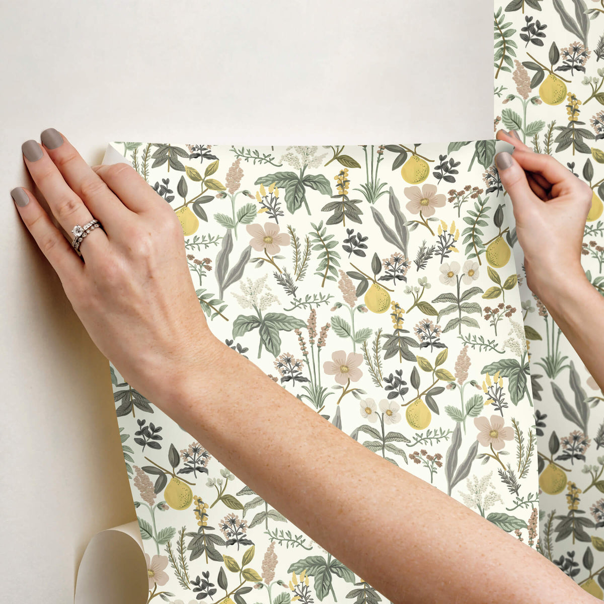Rifle Paper Co. Herb Garden Peel & Stick Wallpaper Sample - Cream