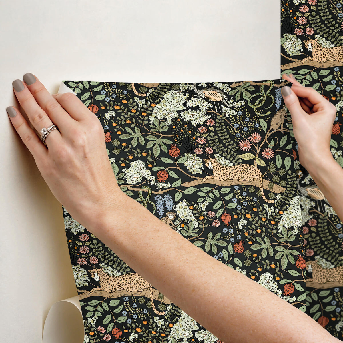 Rifle Paper Co. Safari Peel & Stick Wallpaper Sample - Black