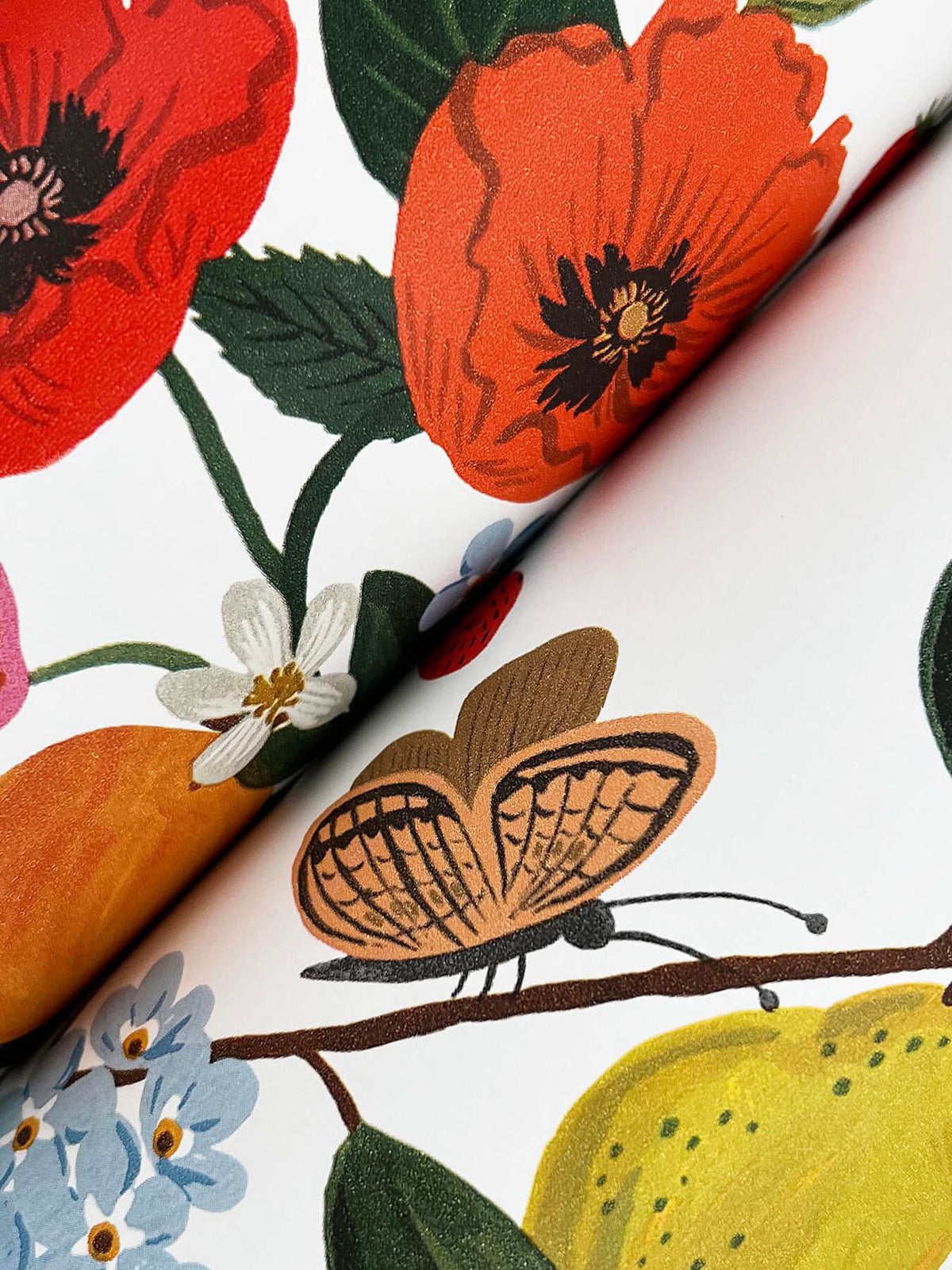 Rifle Paper Co. Flower Studies Wallpaper - Bright