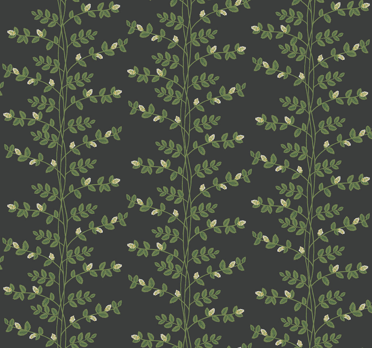 Rifle Paper Co. Climbing Vine Wallpaper Sample - Black