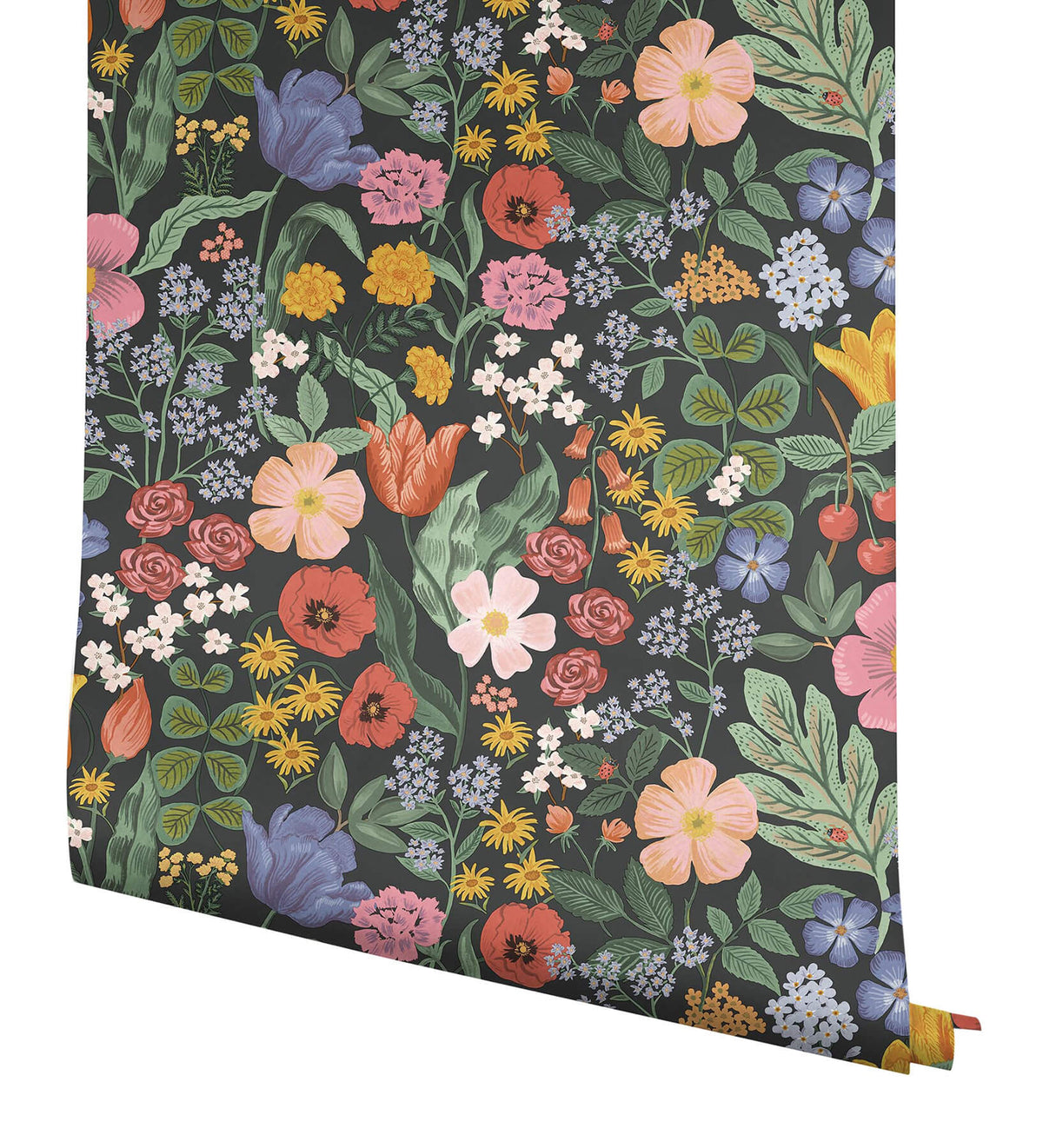 Rifle Paper Co. Blossom Wallpaper Sample - Black